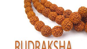 Benefits Of Rudraksha