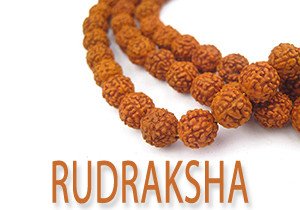 Benefits Of Rudraksha