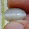 Cats Eye 9.04 Carat / 9.76 Ratti