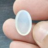 Moon Stone (Celony) 8.95 Carat / 9.66 Ratti