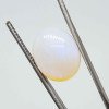 Opal 5.88 Carat / 6.35 Ratti
