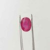 Ruby 5.01 Carat / 5.41 Ratti