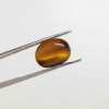 Tiger Stone 6.43 Carat / 6.94 Ratti