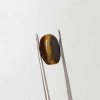 Tiger Stone 3.80 Carat / 4.10 Ratti