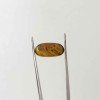Tiger Stone 3.06 Carat / 3.30 Ratti
