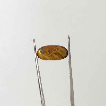 Tiger Stone 3.06 Carat / 3.30 Ratti