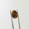 Tiger Stone 3.31 Carat / 3.57 Ratti