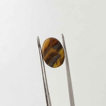 Tiger Stone 3.31 Carat / 3.57 Ratti