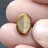 Tiger Stone 6.21 Carat / 6.70 Ratti