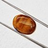 Tiger Stone 6.69 Carat / 7.22 Ratti