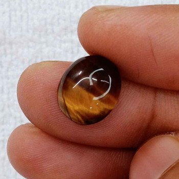 Tiger Stone 7.68 Carat / 8.29 Ratti