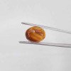 Tiger Stone 6.60 Carat / 7.12 Ratti