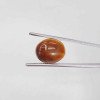 Tiger Stone 6.60 Carat / 7.12 Ratti