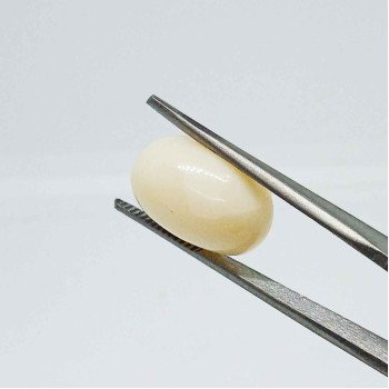 White Coral 10.23 Carat / 11.12 Ratti White Coral 10.23 Carat / 11.12 Ratti