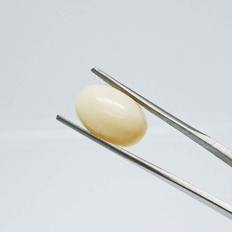 White Coral 10.23 Carat / 11.12 Ratti