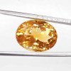 Yellow Topaz 7.26 Carat / 7.84 Ratti