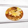 Yellow Topaz 7.26 Carat / 7.84 Ratti
