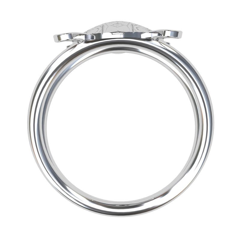 Silver Tortoise Ring