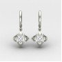 Silver Hoop Earring