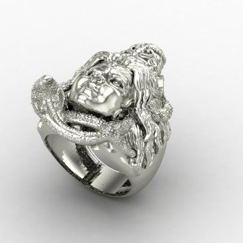 Shyam Sadashiv Silver Ring