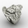 Shyam Sadashiv Silver Ring